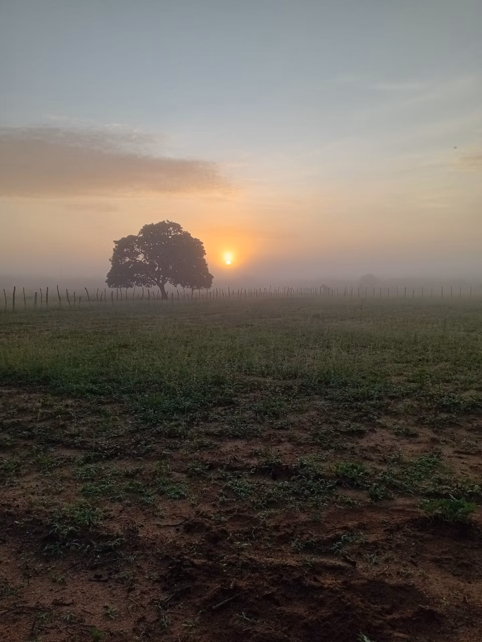 Terreno de 18 ha em Governador Dix-Sept Rosado, RN