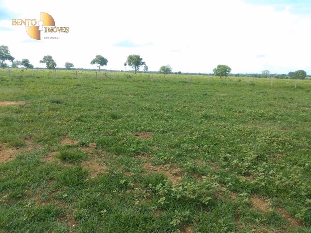 Fazenda de 267 ha em Várzea Grande, MT