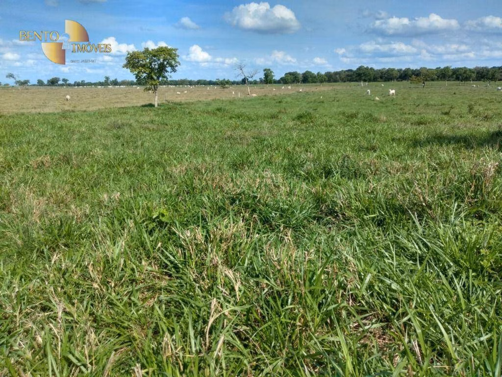 Fazenda de 267 ha em Várzea Grande, MT