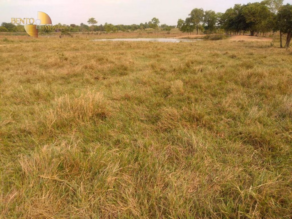 Fazenda de 267 ha em Várzea Grande, MT