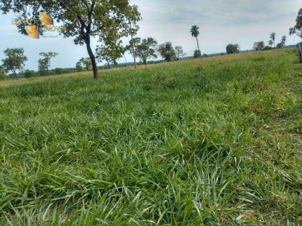 Fazenda de 267 ha em Várzea Grande, MT
