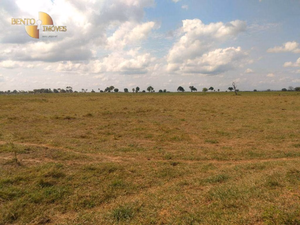 Fazenda de 267 ha em Várzea Grande, MT