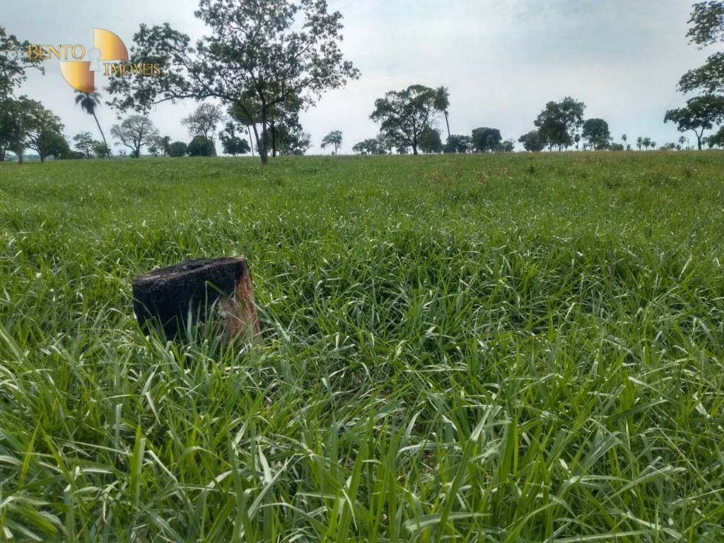 Fazenda de 267 ha em Várzea Grande, MT
