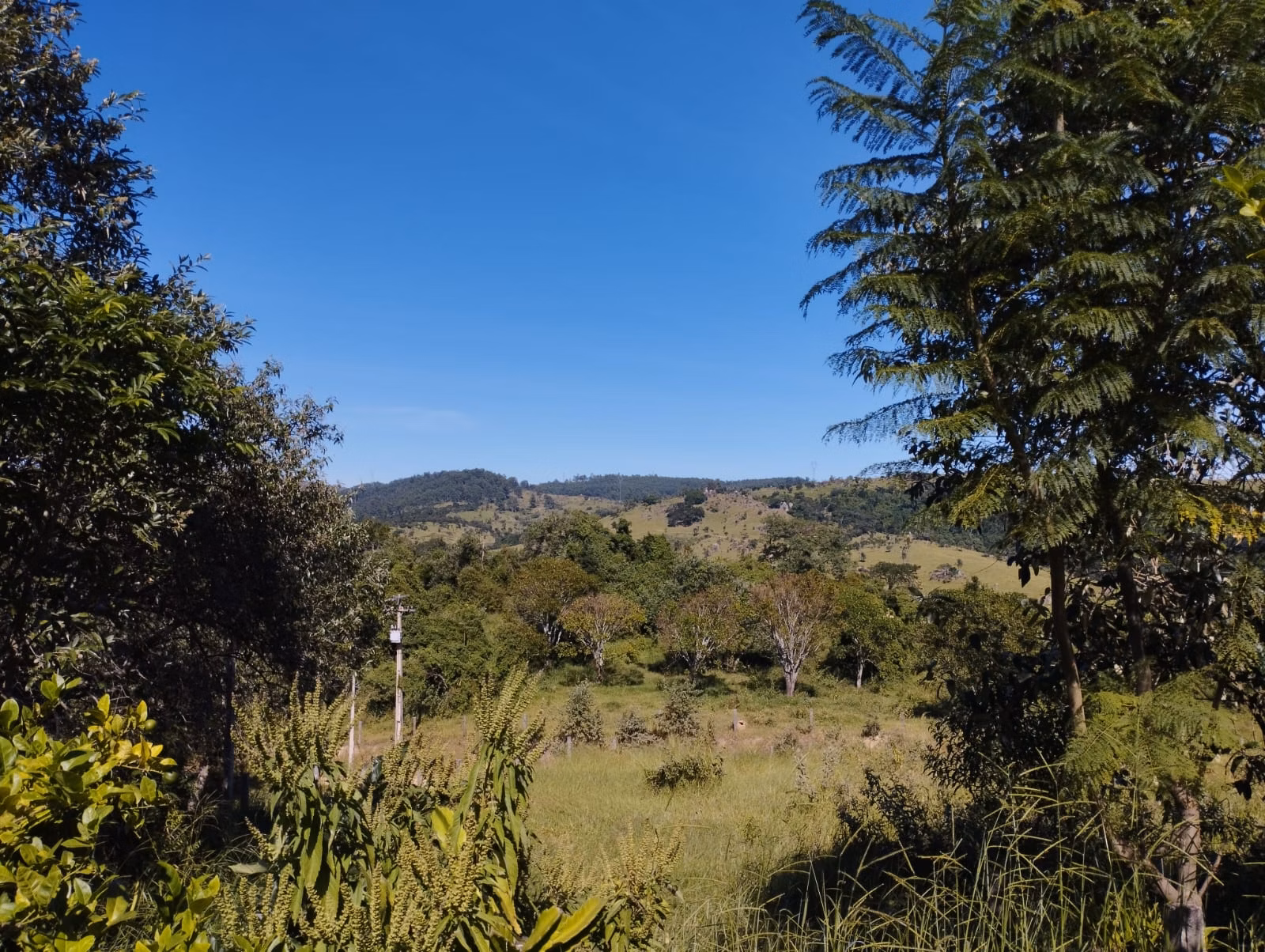 Sítio de 12 ha em Pedreira, SP