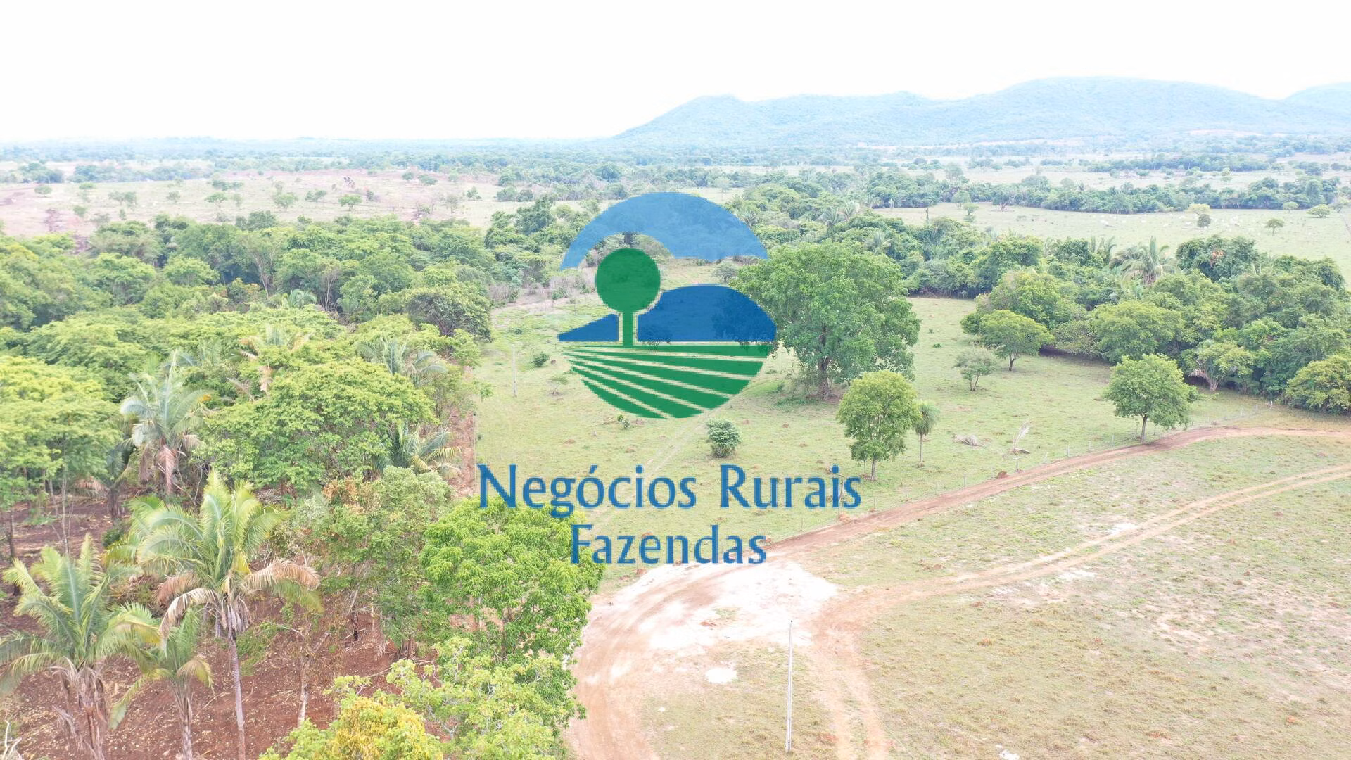 Fazenda de 784 ha em Palmeirópolis, TO