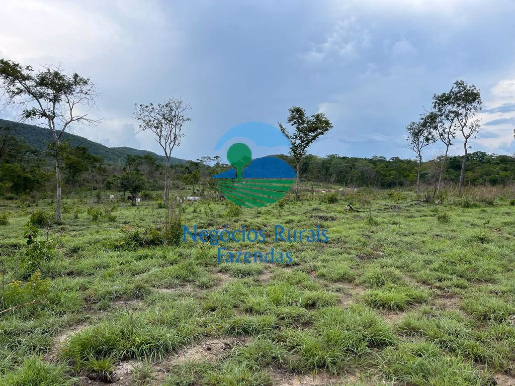 Fazenda de 784 ha em Palmeirópolis, TO