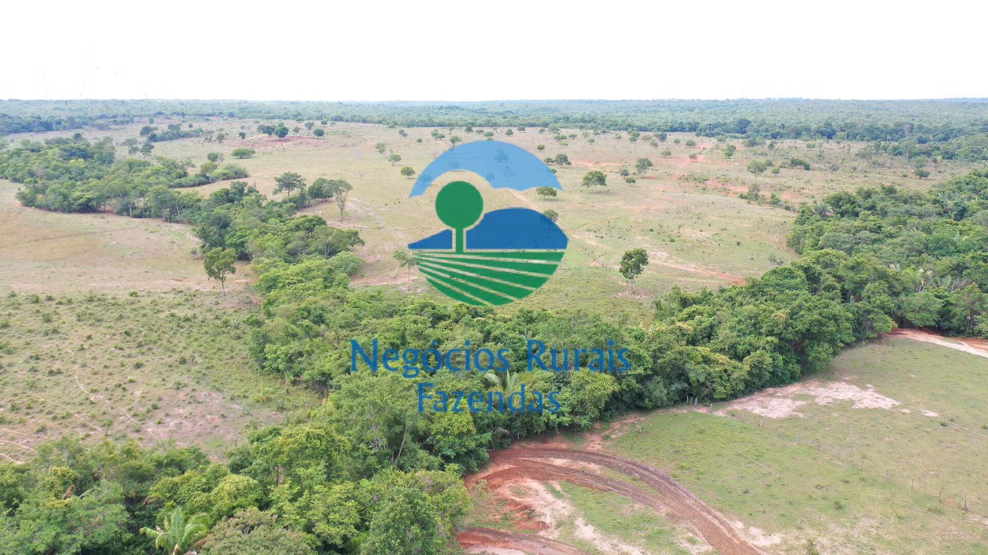 Fazenda de 784 ha em Palmeirópolis, TO