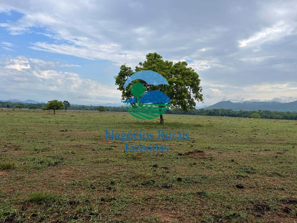 Fazenda de 784 ha em Palmeirópolis, TO