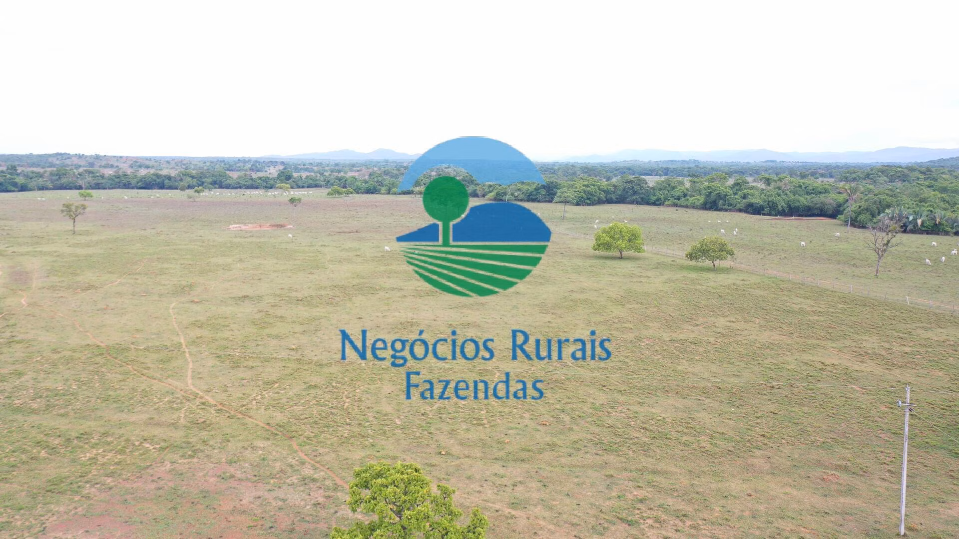 Fazenda de 784 ha em Palmeirópolis, TO