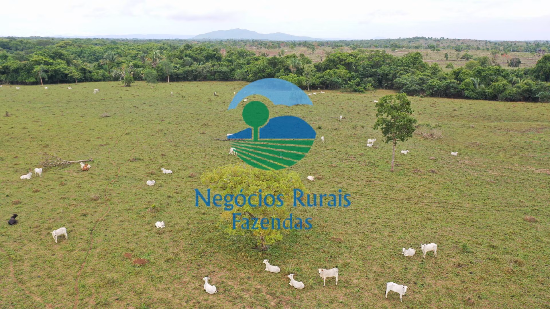 Fazenda de 784 ha em Palmeirópolis, TO