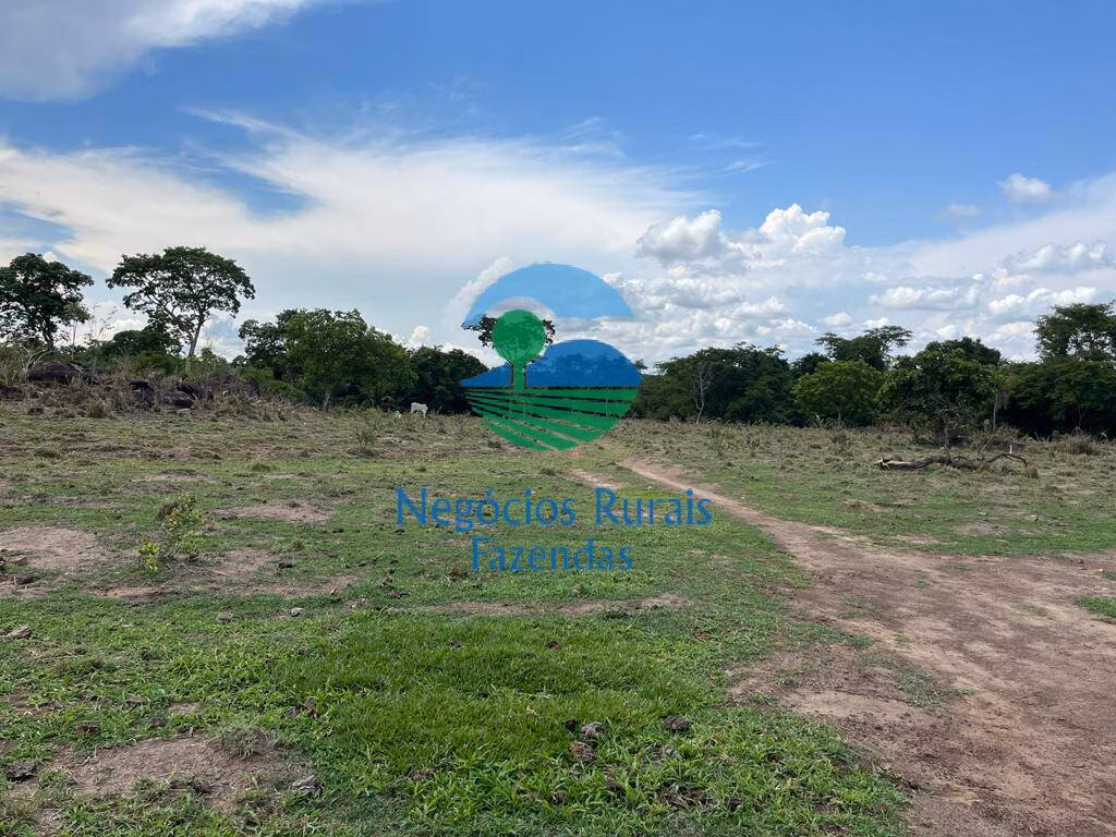 Fazenda de 784 ha em Palmeirópolis, TO