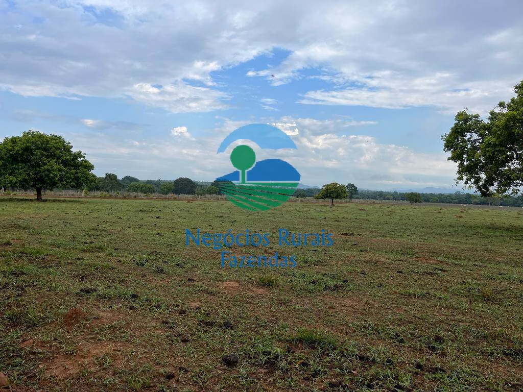 Fazenda de 784 ha em Palmeirópolis, TO