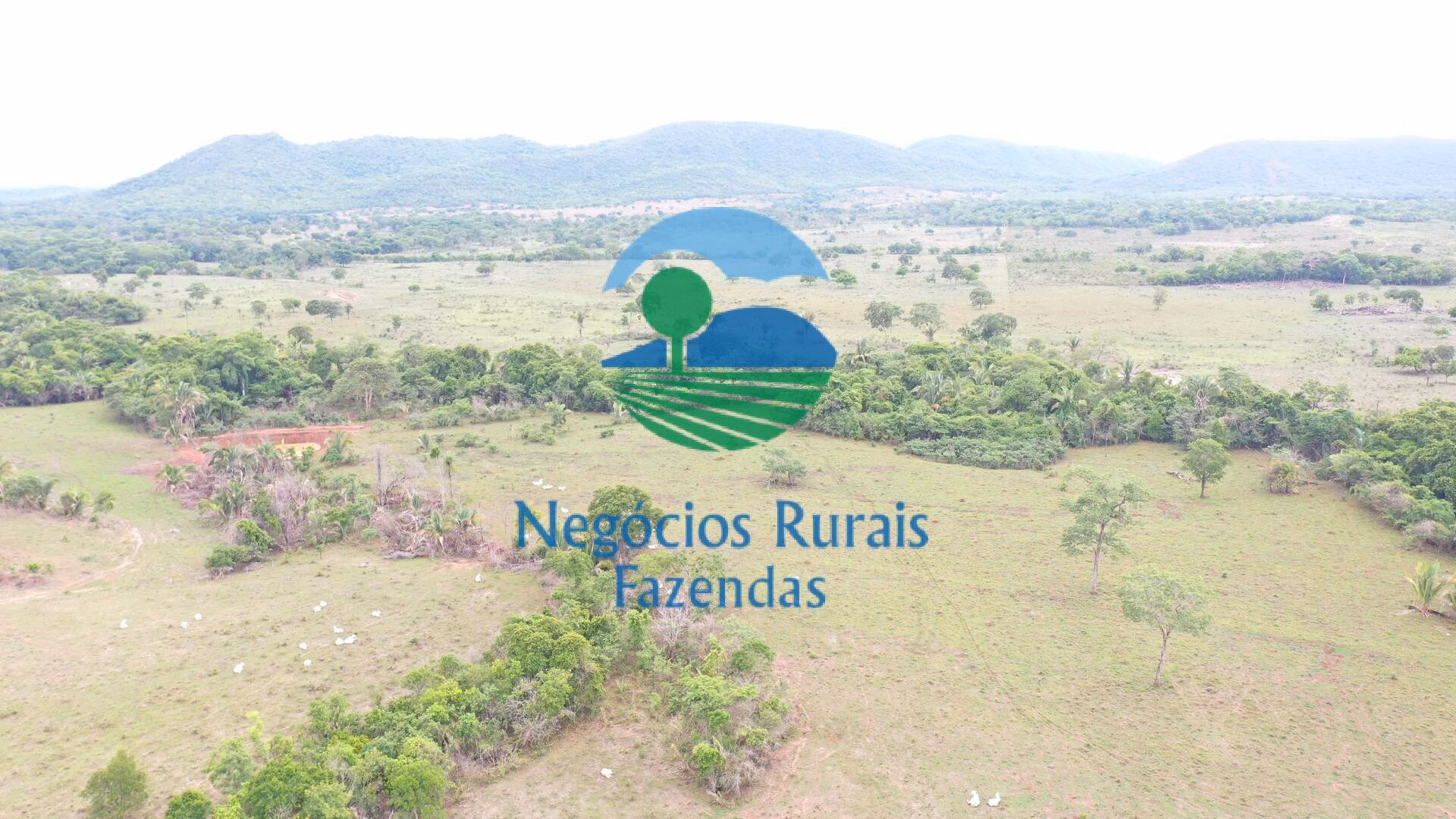 Fazenda de 784 ha em Palmeirópolis, TO