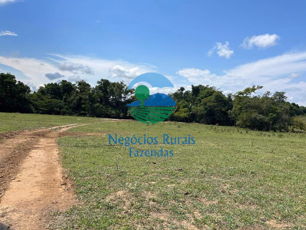 Fazenda de 784 ha em Palmeirópolis, TO