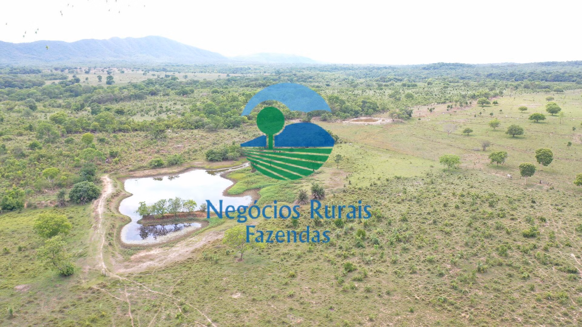 Fazenda de 784 ha em Palmeirópolis, TO