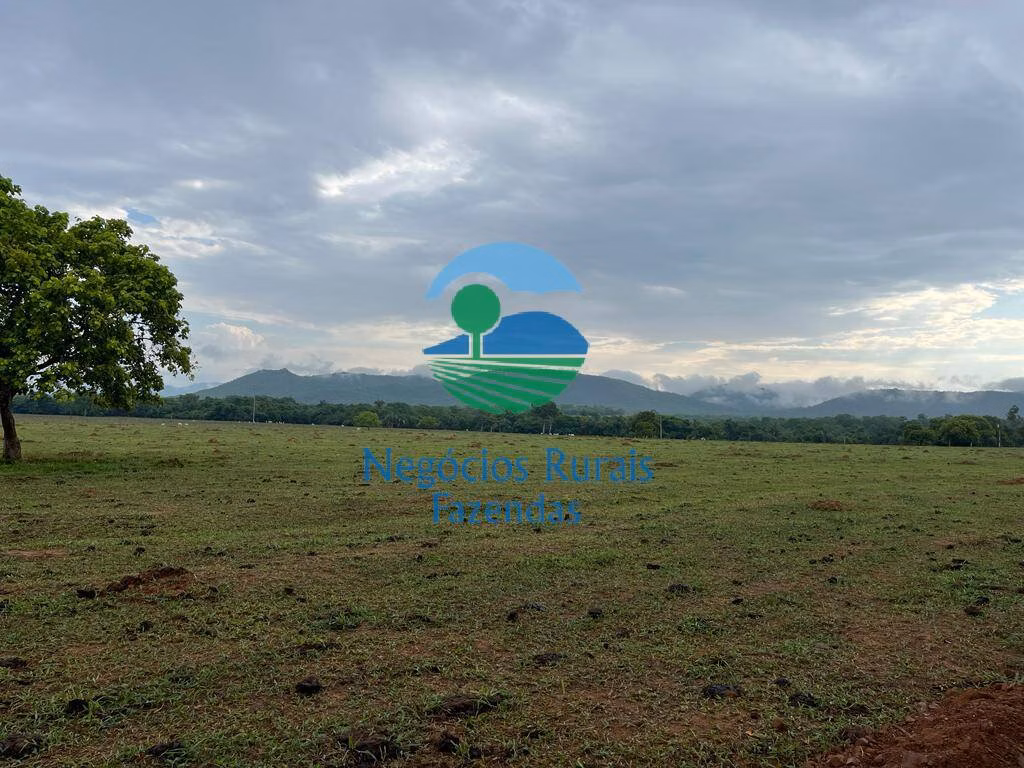 Fazenda de 784 ha em Palmeirópolis, TO