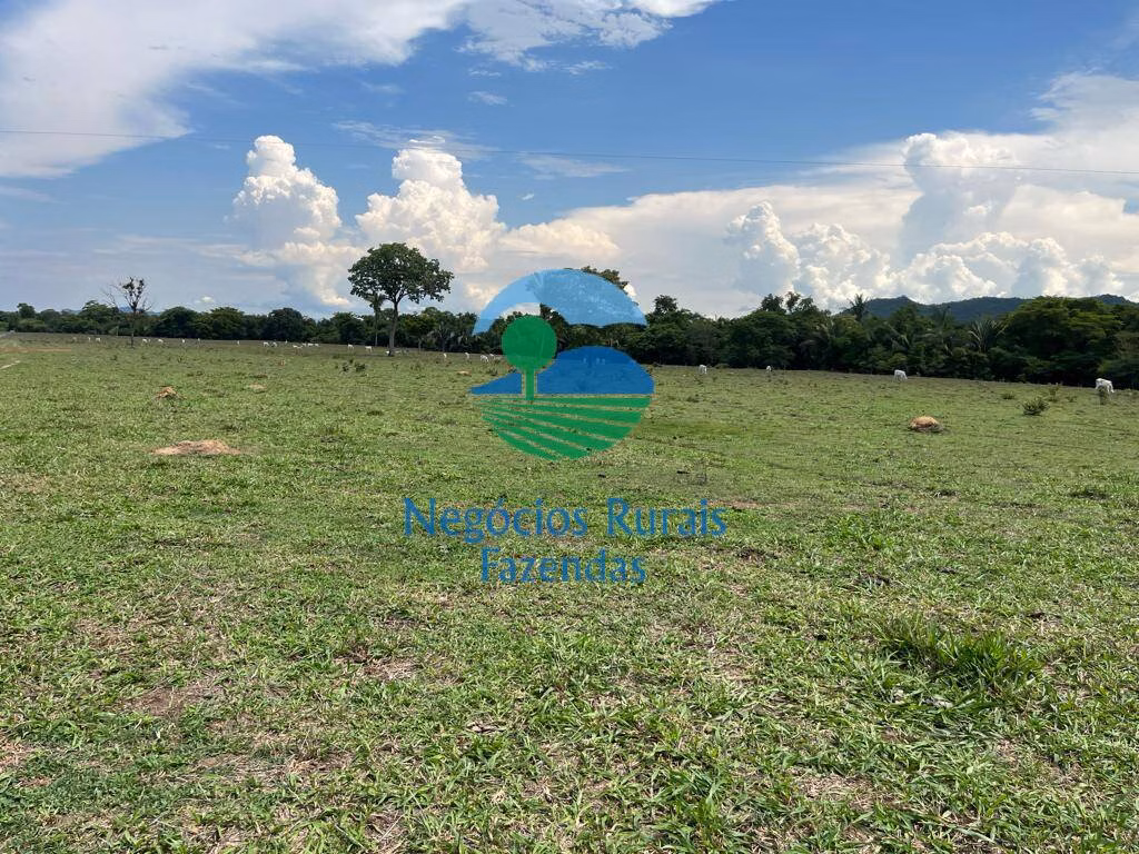 Fazenda de 784 ha em Palmeirópolis, TO