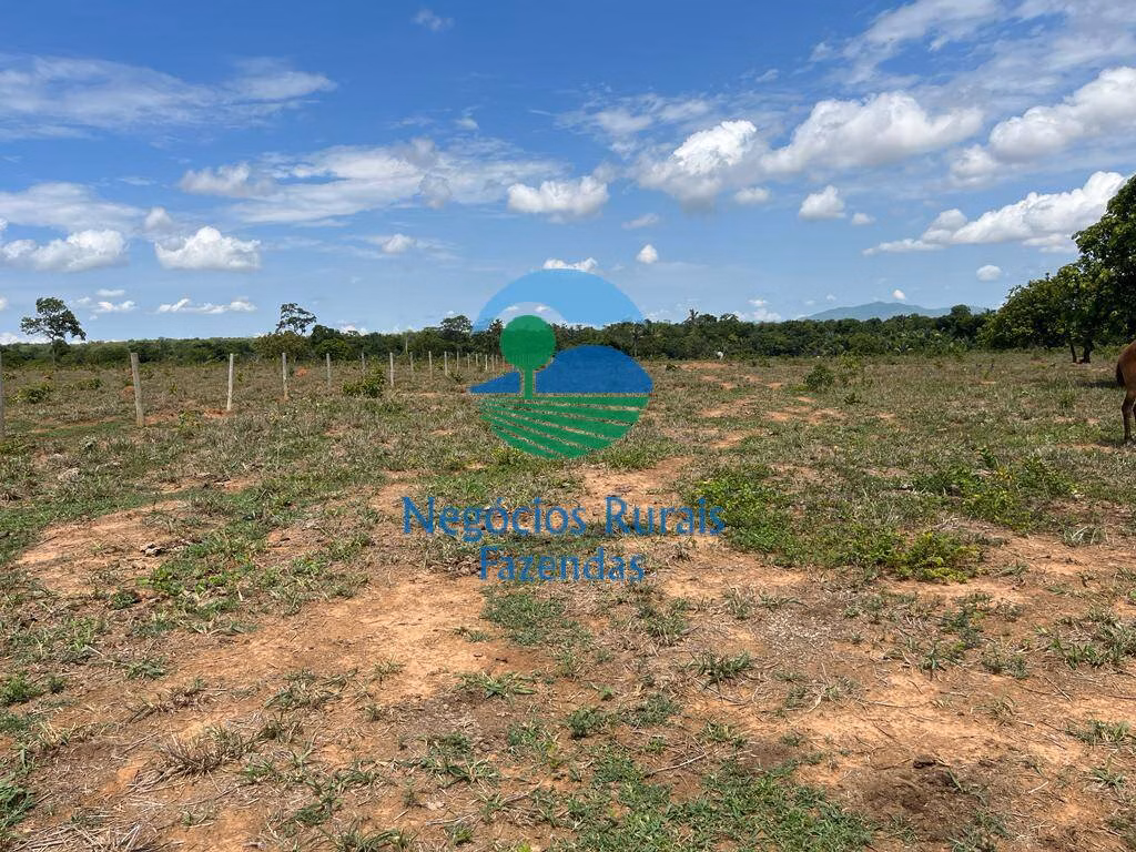 Fazenda de 784 ha em Palmeirópolis, TO