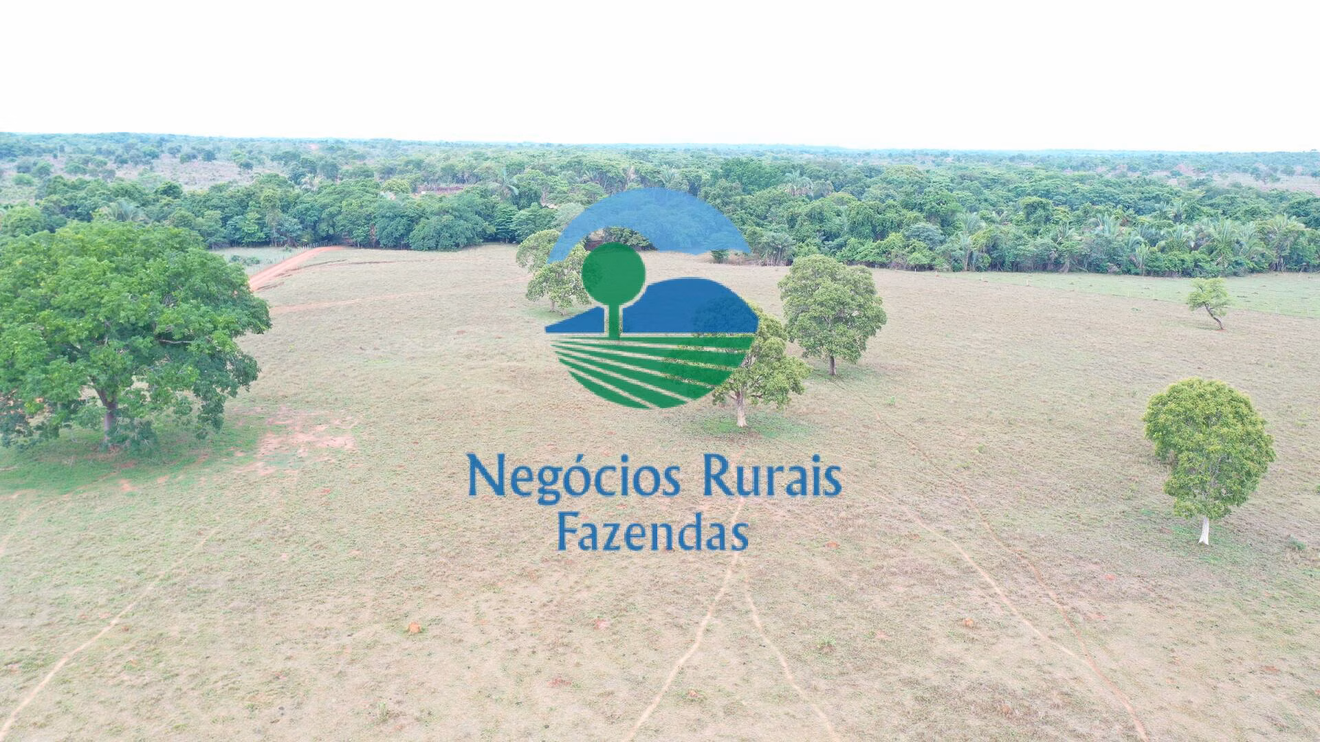 Fazenda de 784 ha em Palmeirópolis, TO