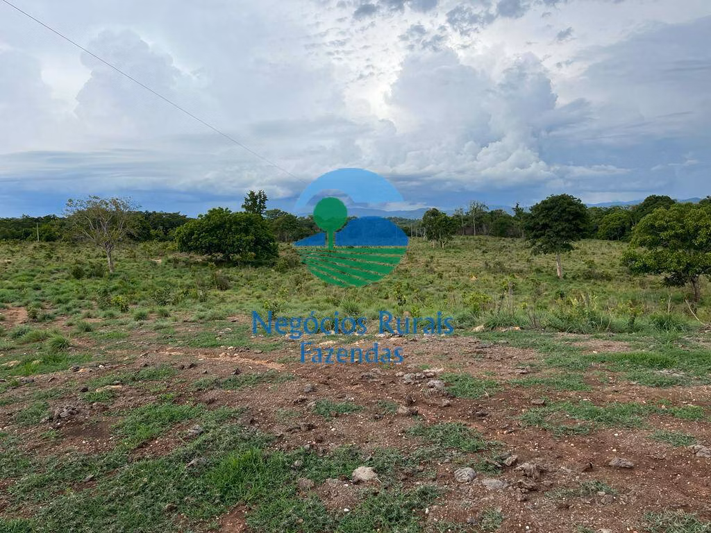 Fazenda de 784 ha em Palmeirópolis, TO