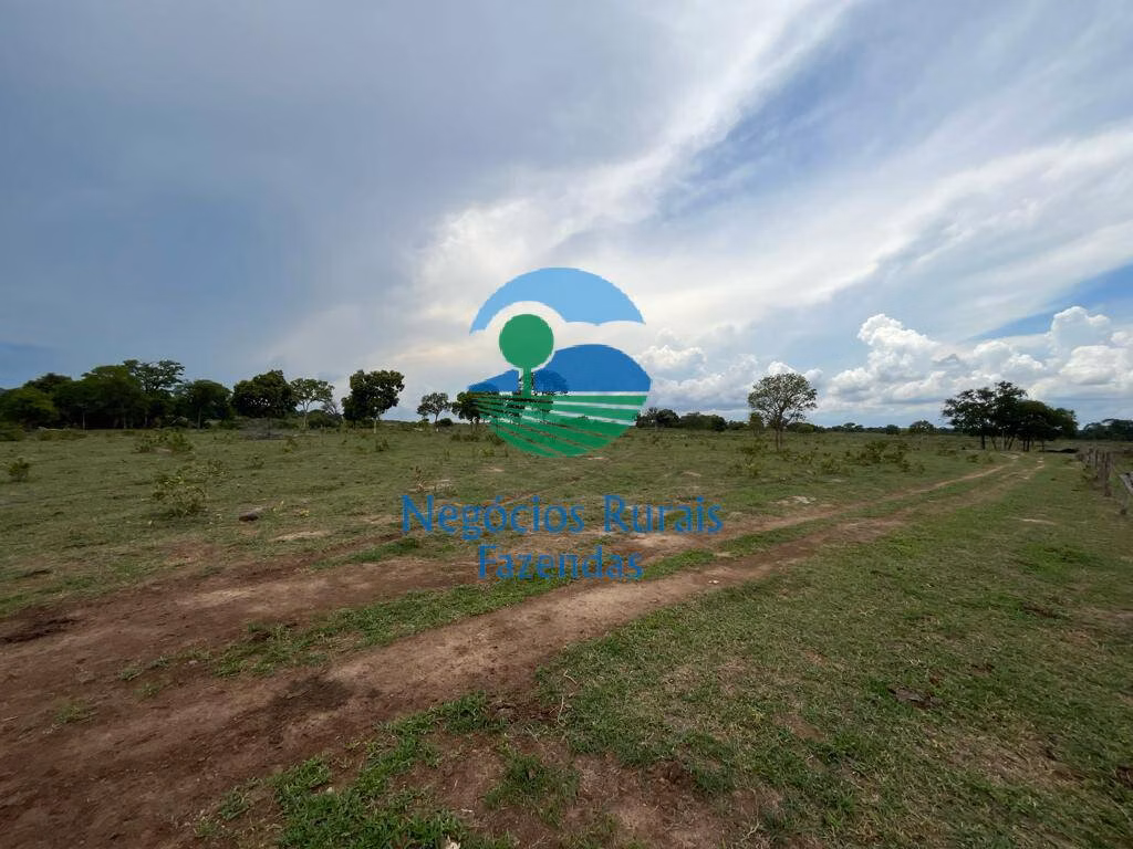 Fazenda de 784 ha em Palmeirópolis, TO