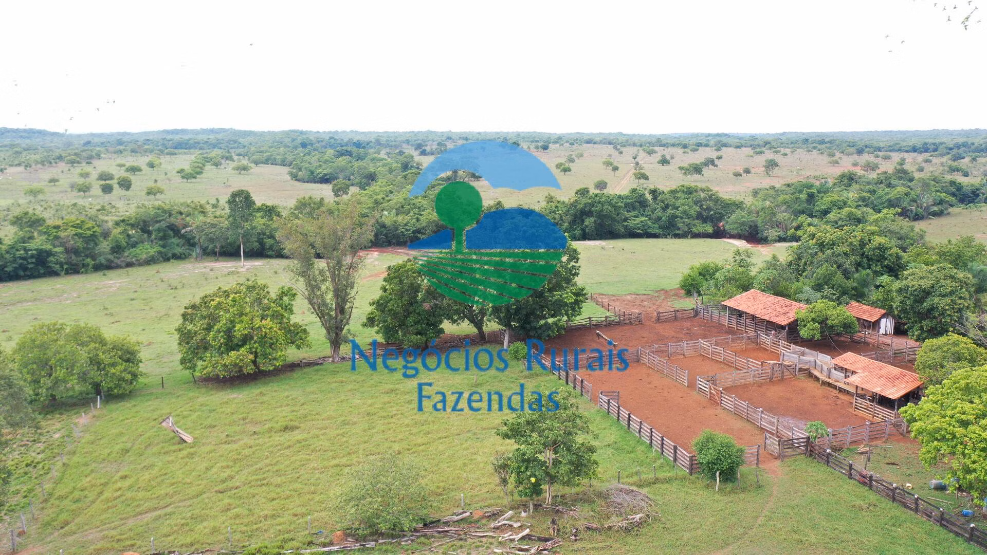 Fazenda de 784 ha em Palmeirópolis, TO