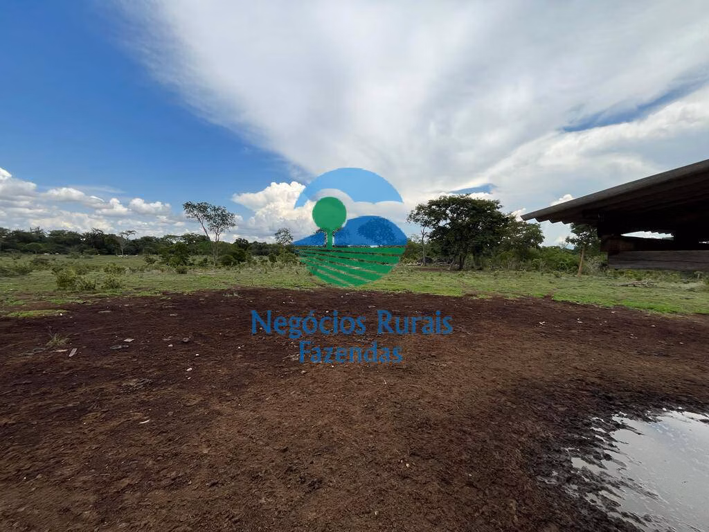 Fazenda de 784 ha em Palmeirópolis, TO