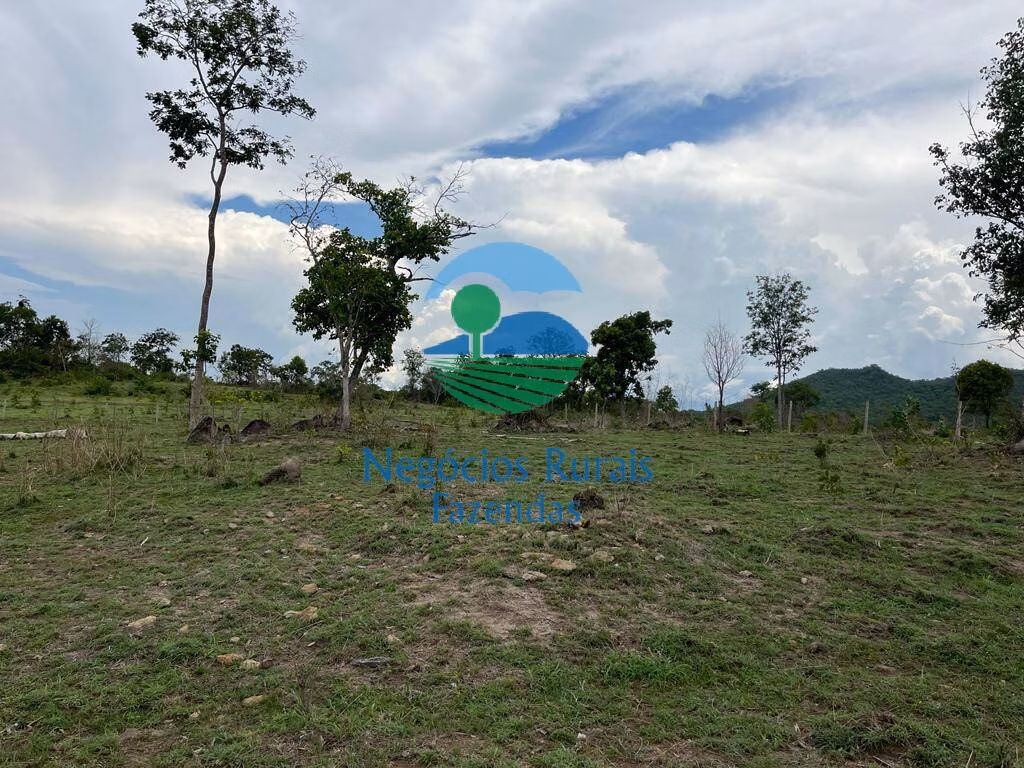 Fazenda de 784 ha em Palmeirópolis, TO