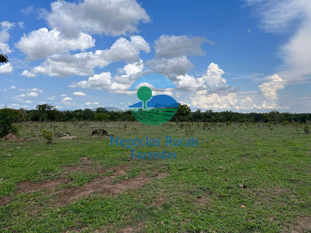 Fazenda de 784 ha em Palmeirópolis, TO