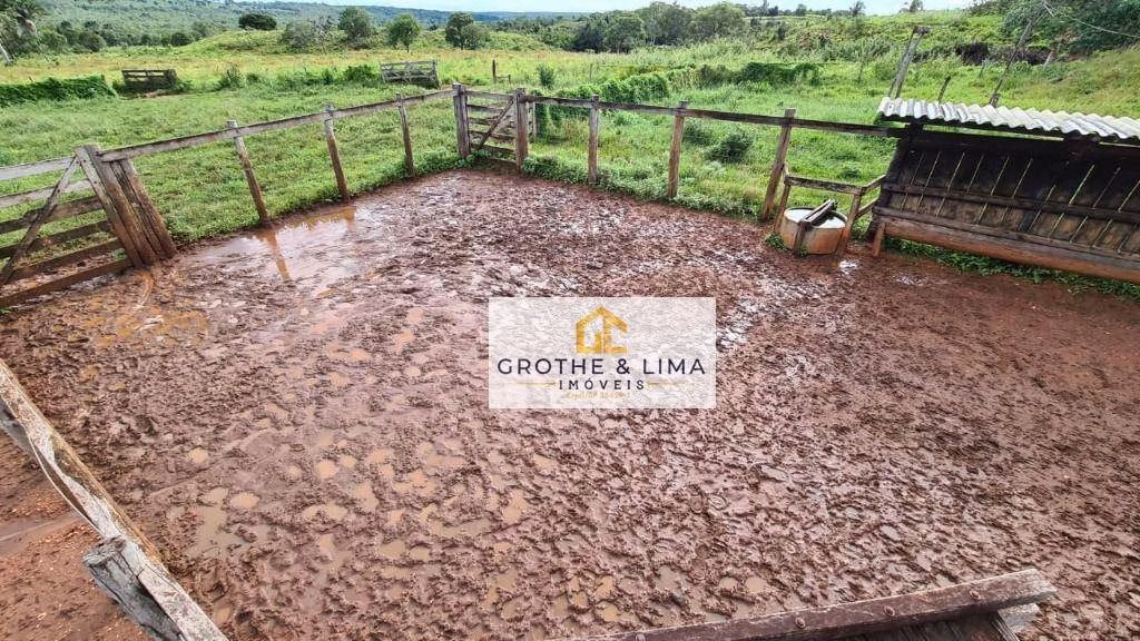 Fazenda de 1.021 ha em Lagoa da Confusão, TO
