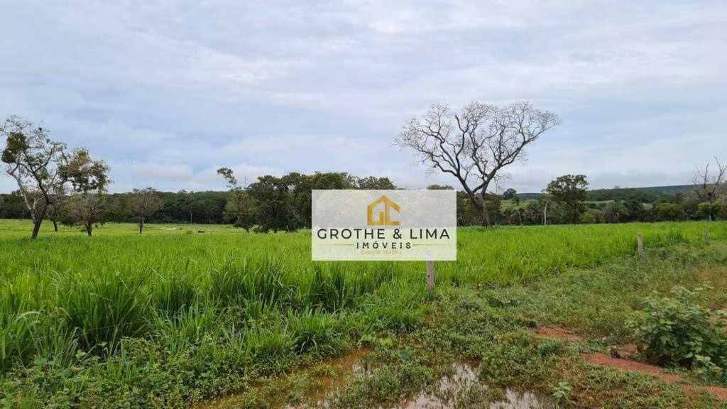 Fazenda de 1.021 ha em Lagoa da Confusão, TO