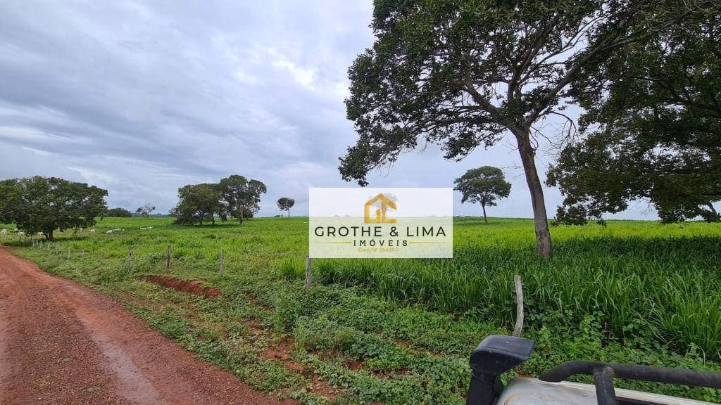 Fazenda de 1.021 ha em Lagoa da Confusão, TO