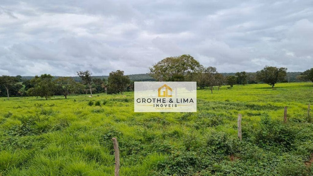 Fazenda de 1.021 ha em Lagoa da Confusão, TO