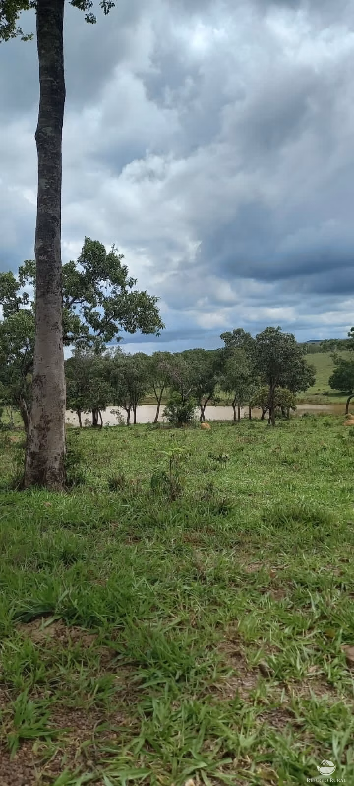 Fazenda de 1.468 ha em Vila Propício, GO