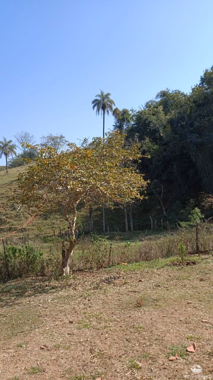 Sítio de 53 ha em Monte Santo de Minas, MG