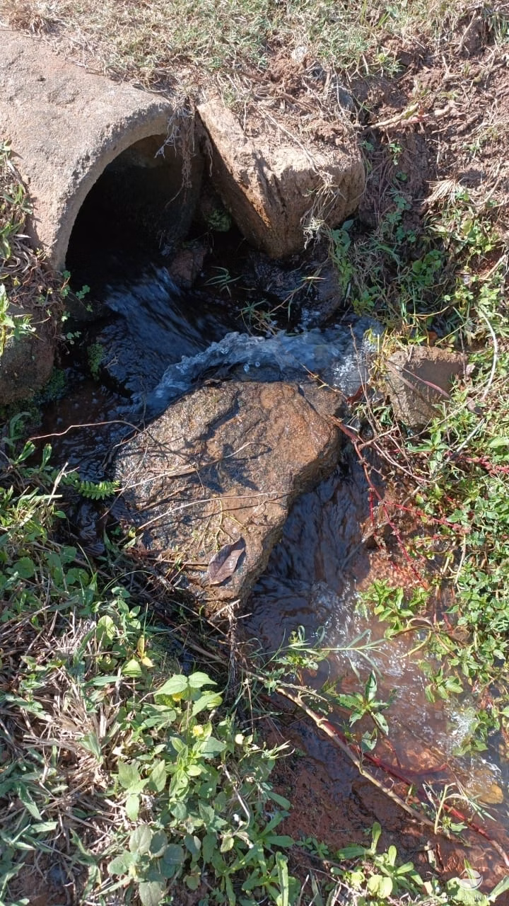 Sítio de 53 ha em Monte Santo de Minas, MG
