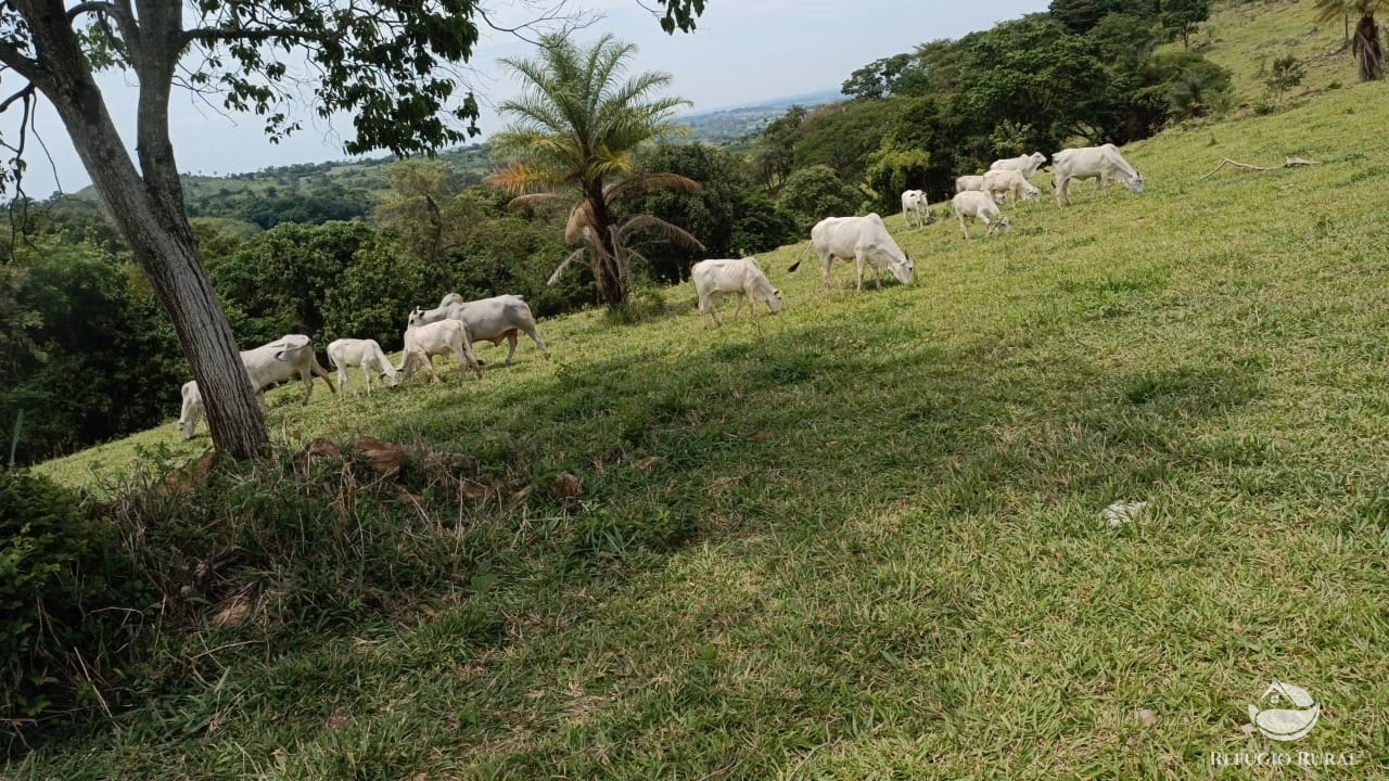Sítio de 53 ha em Monte Santo de Minas, MG