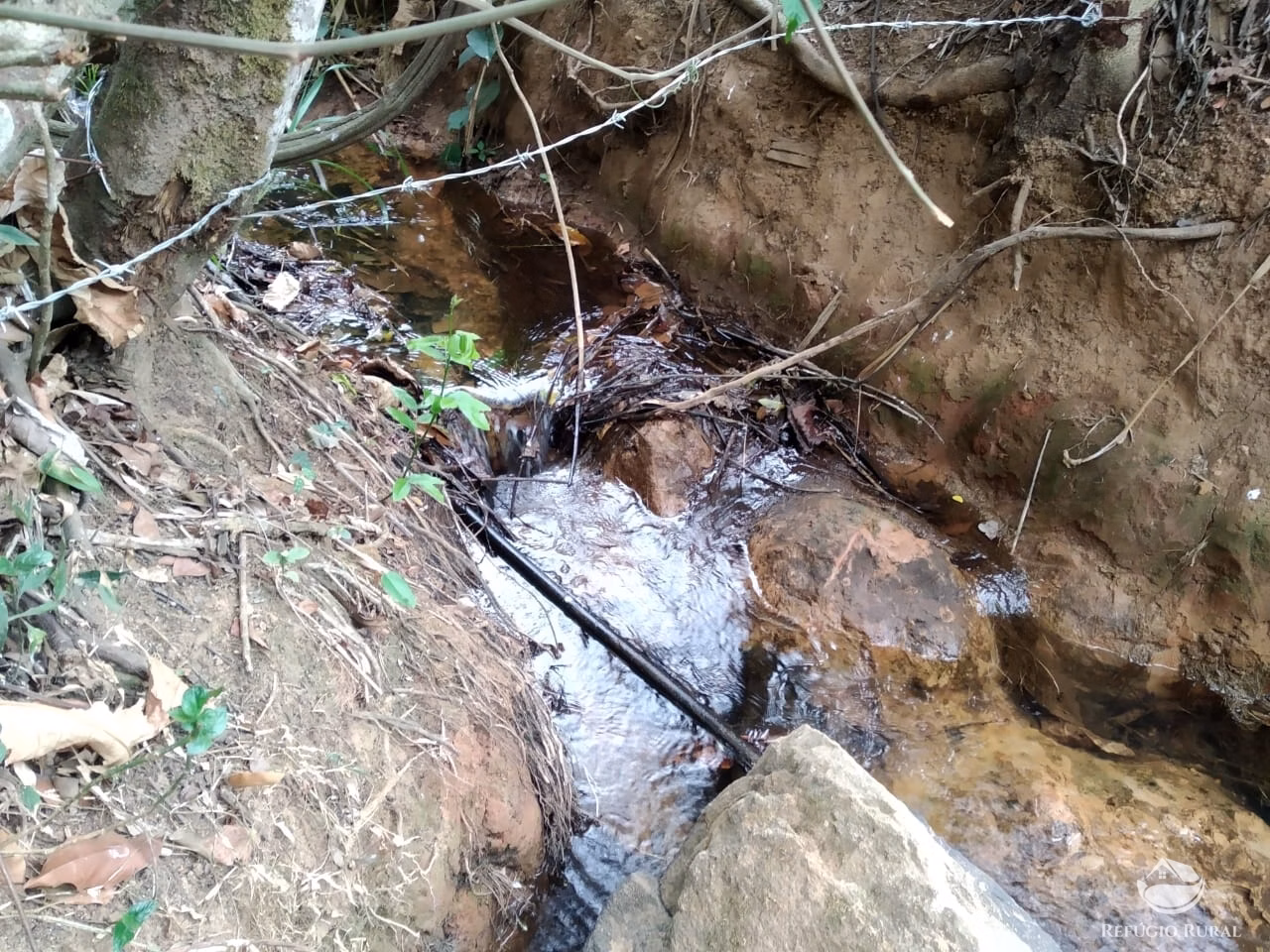 Sítio de 53 ha em Monte Santo de Minas, MG