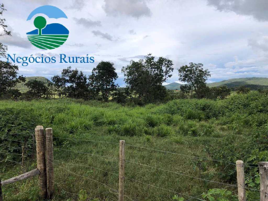 Fazenda de 208 ha em Nova Iguaçu de Goiás, GO