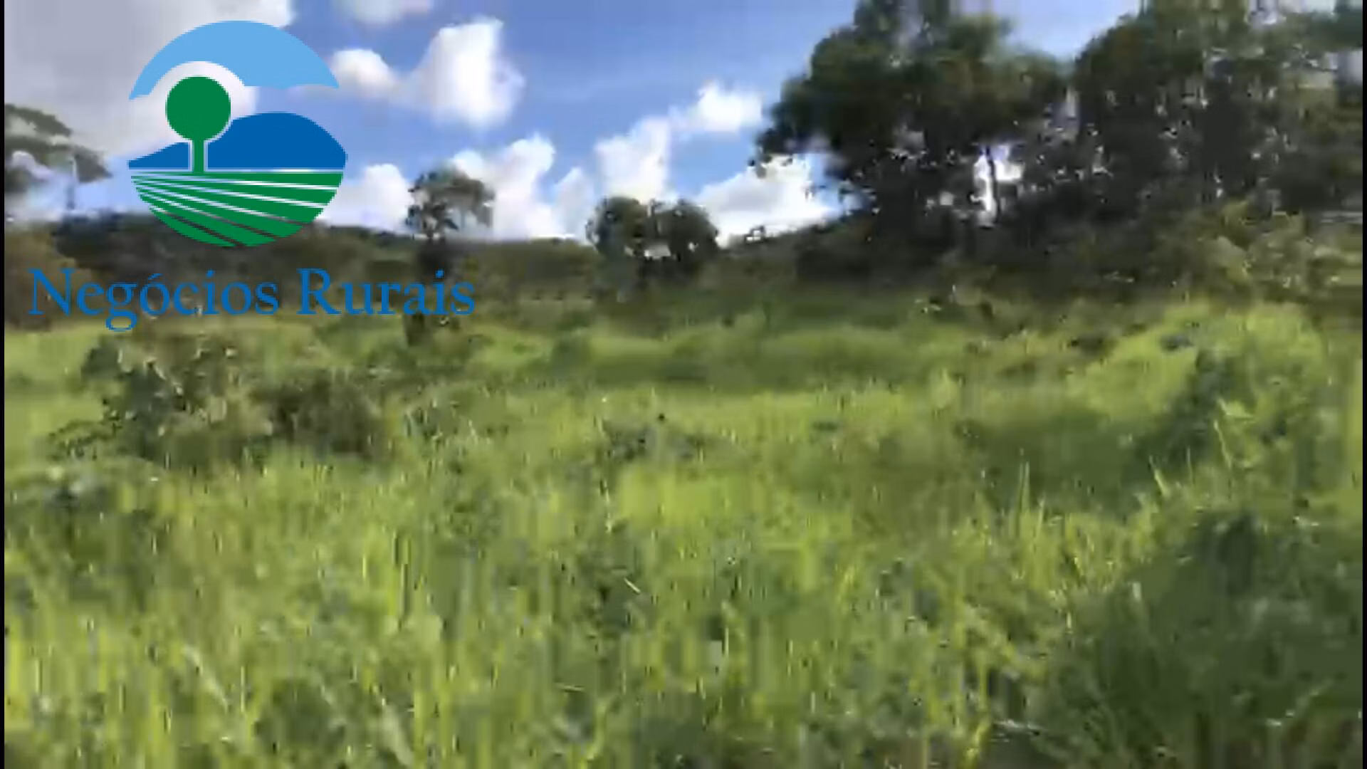 Fazenda de 208 ha em Nova Iguaçu de Goiás, GO