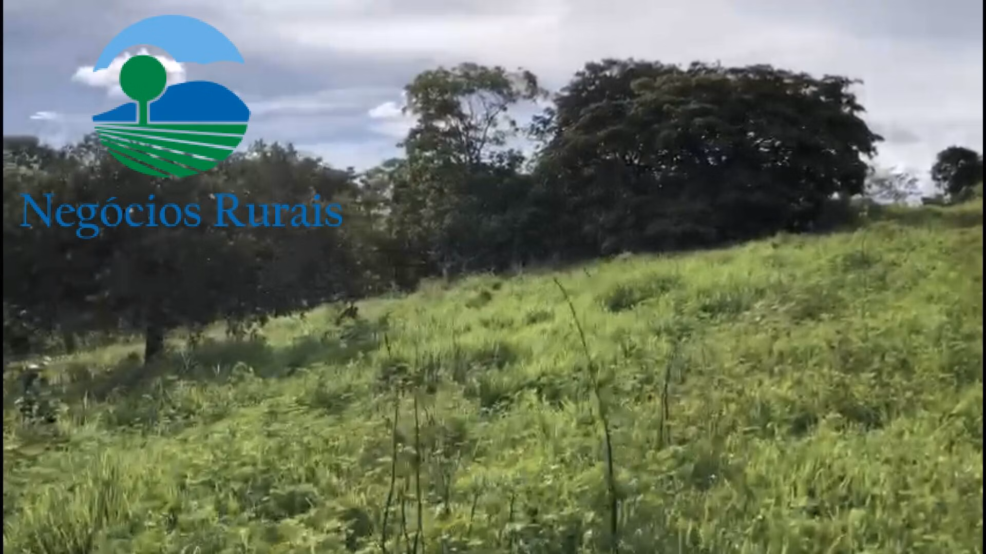 Fazenda de 208 ha em Nova Iguaçu de Goiás, GO