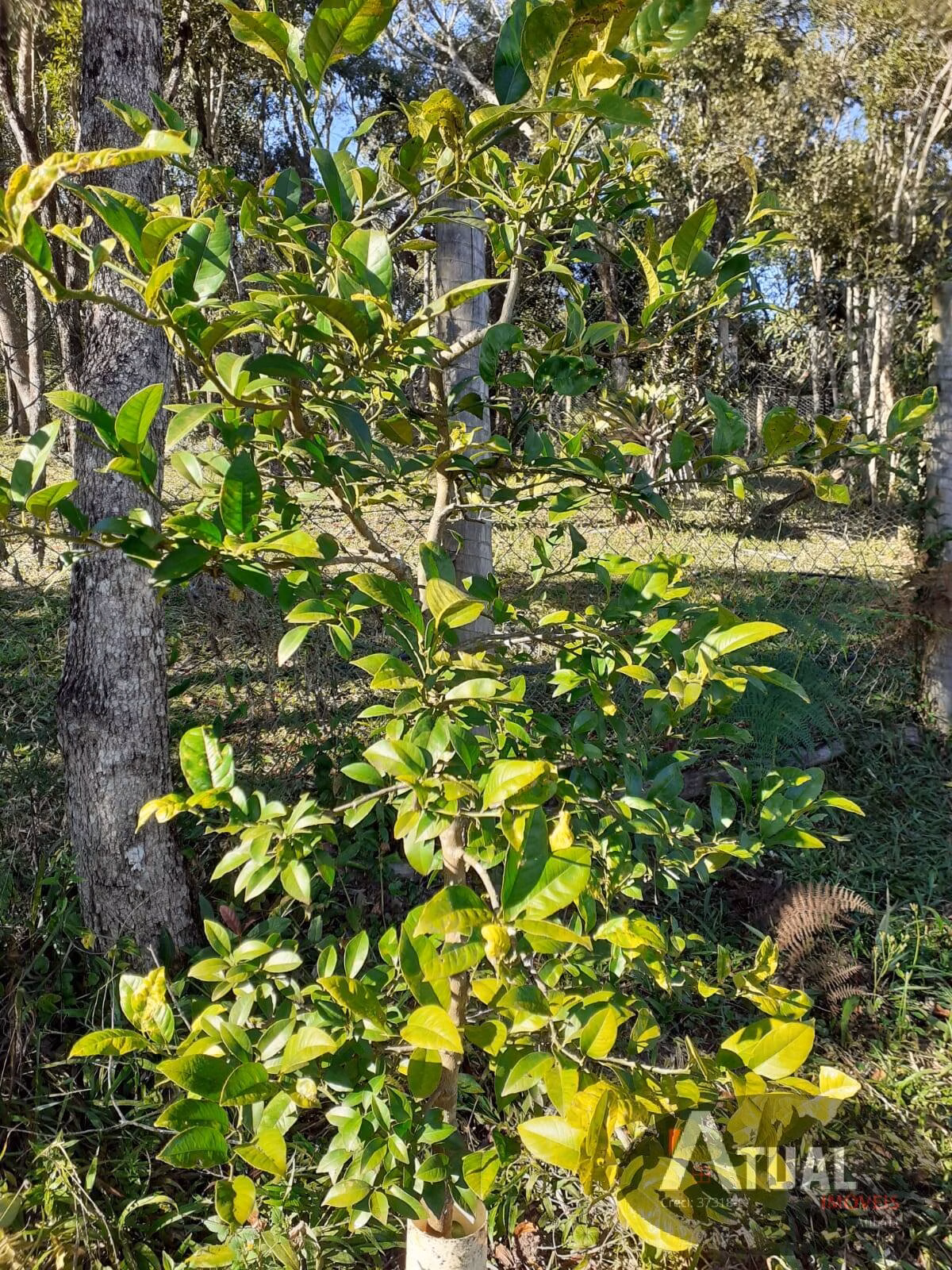 Terreno de 3.000 m² em Camanducaia, MG