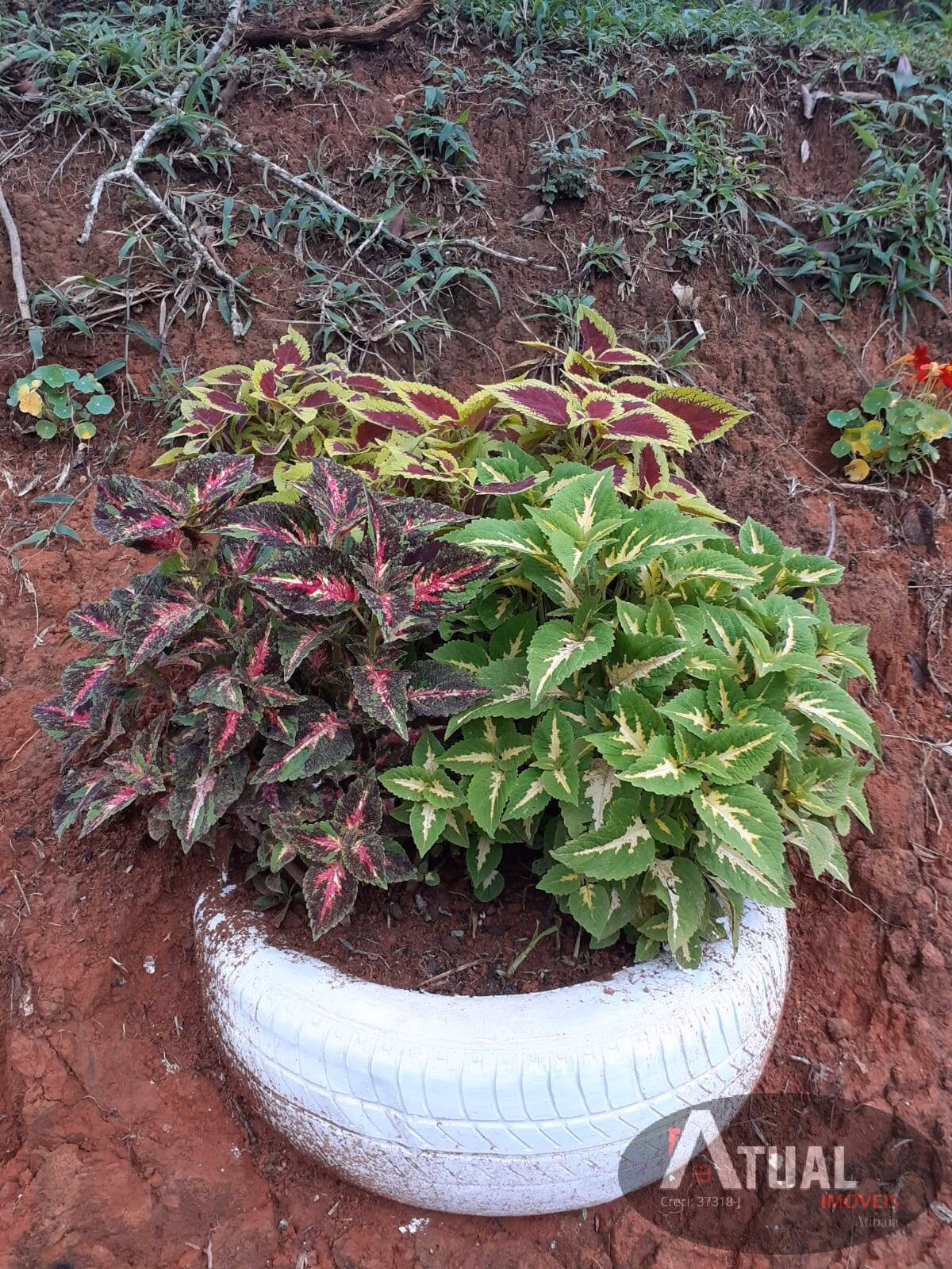 Terreno de 3.000 m² em Camanducaia, MG