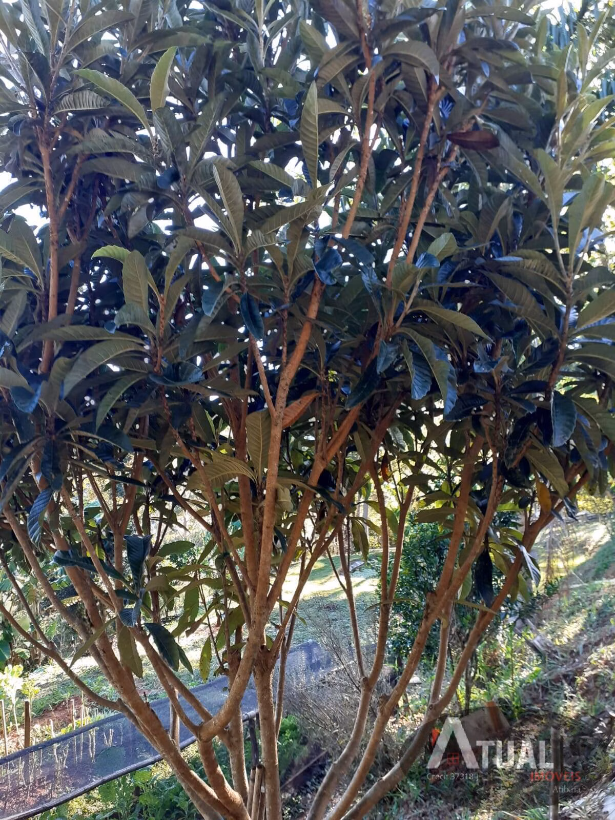 Terreno de 3.000 m² em Camanducaia, MG
