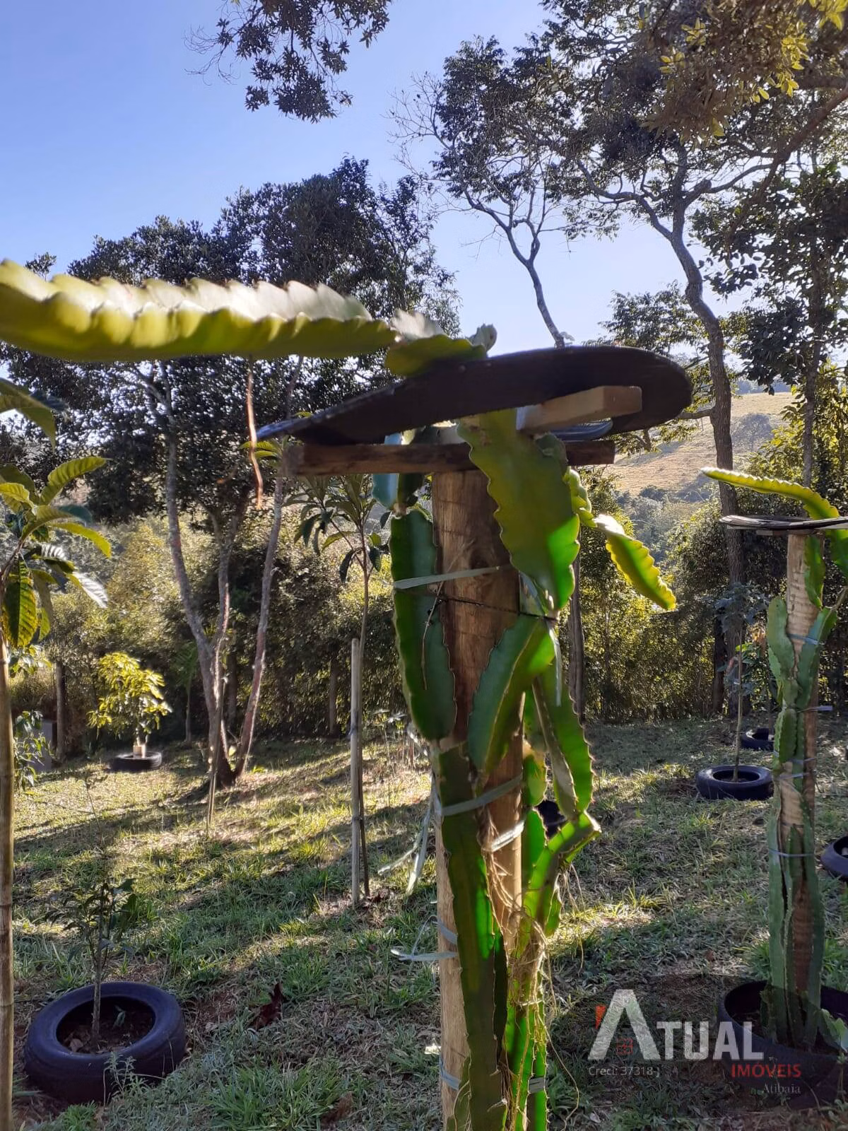 Terreno de 3.000 m² em Camanducaia, MG
