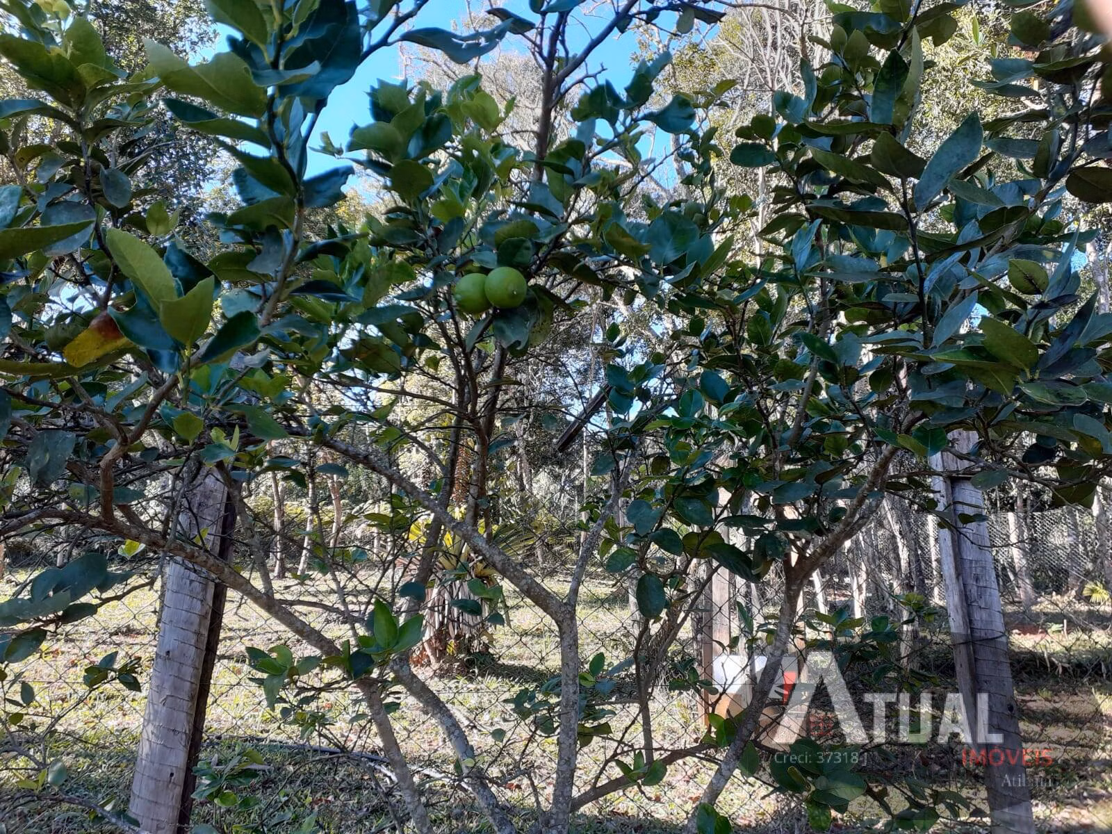 Terreno de 3.000 m² em Camanducaia, MG