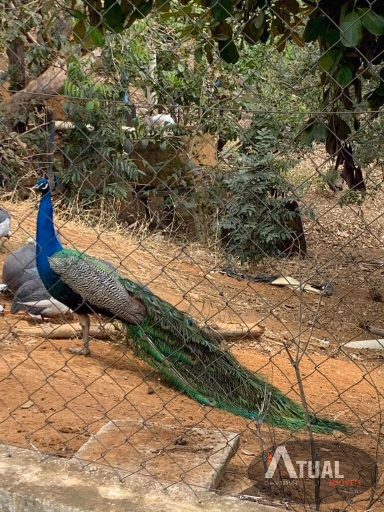 Sítio de 33 ha em Piranguinho, MG