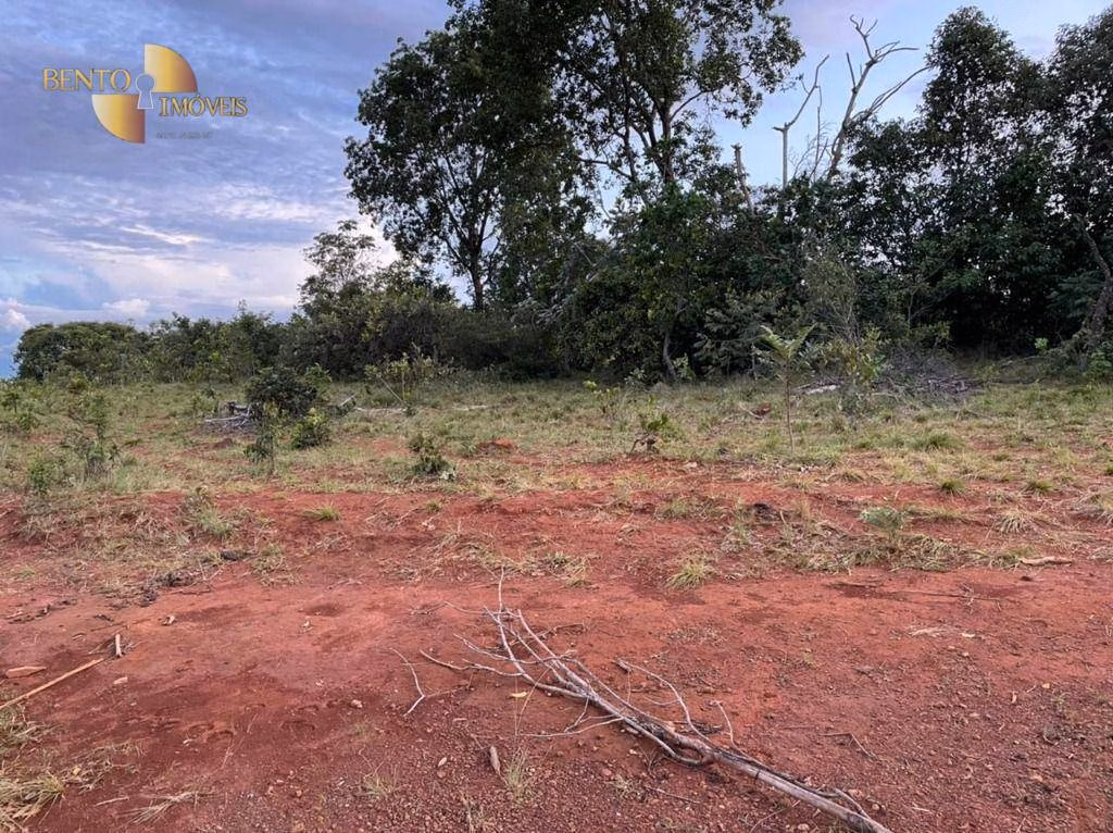 Fazenda de 1.920 ha em Tesouro, MT