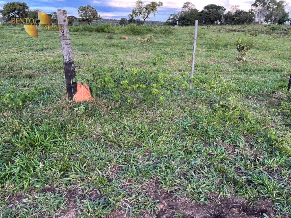 Fazenda de 1.920 ha em Tesouro, MT