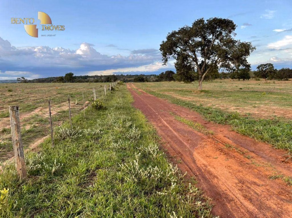 Fazenda de 1.920 ha em Tesouro, MT